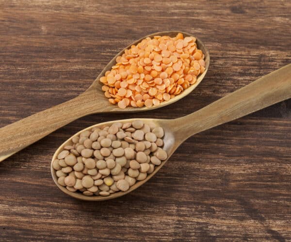 lentils are high in molybdenum